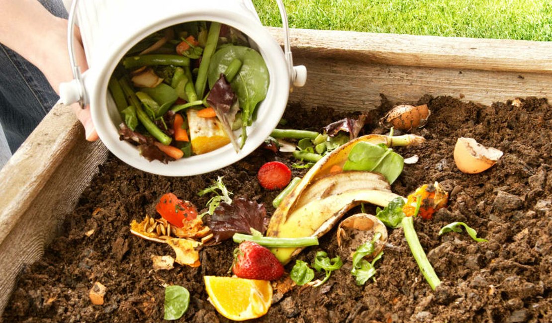 Processo de compostagem contribui para reutilizar rejeitos e resíduos em Maceió