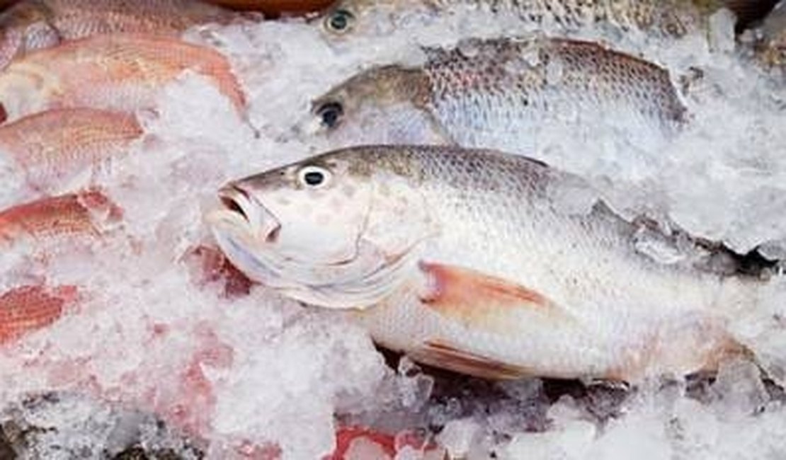 Funcionários de distribuidora de alimentos são flagrados com R$ 4.500 em peixe
