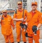 Bombeiros resgatam quase 600 animais em Alagoas no ano de 2019