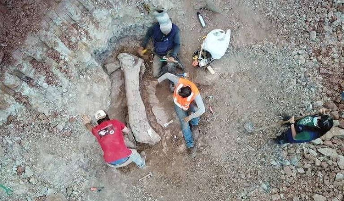 Fóssil de dinossauro gigante é achado em obra de ferrovia no Maranhão