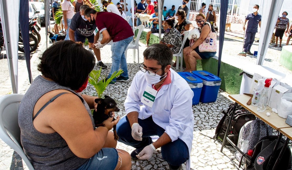 Campanha realiza mais de 700 atendimentos veterinários  nos bairros de Bebedouro e Pinheiro