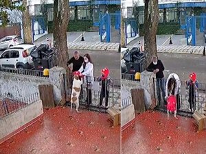 [Vídeo] Cadela que teve roupa furtada por homem ganha novo casaco