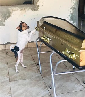 Cachorro chora e acompanha velório da tutora ao lado do caixão em Camaçari