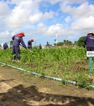 Disciplina, educação e trabalho ampliam horizontes de reeducandos em Alagoas