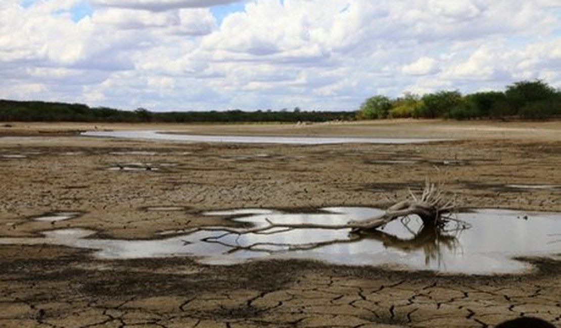 Prefeitura de Palmeira dos Índios decreta situação de emergência em áreas atingidas pela seca