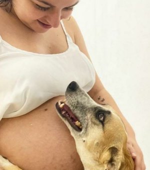 Foto de cachorra “cuidando” da barriga de dona grávida viraliza
