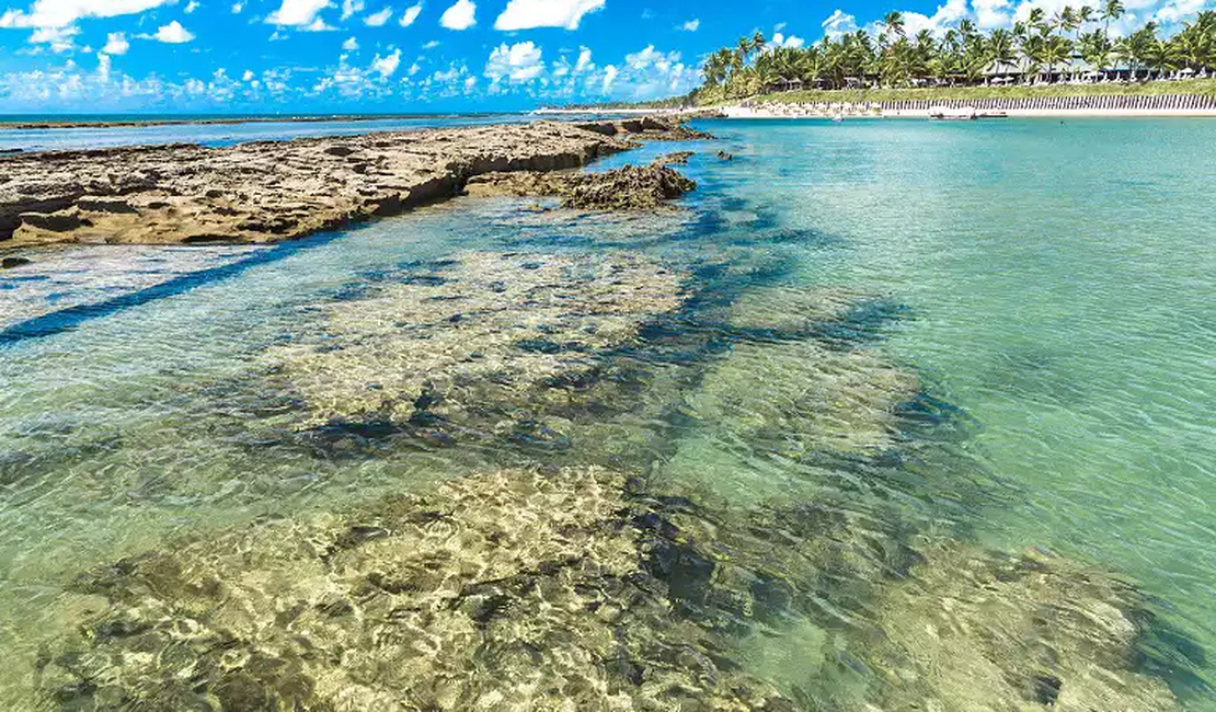 Seis praias estão impróprias para o banho no litoral norte; confira