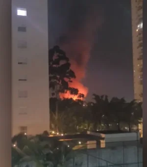 Incêndio destrói galpão de Vic Meireles, florista de celebridades, em São Paulo