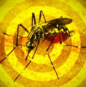 Mosquitos vetores da febre amarela são detectados em área de mata no interior de AL