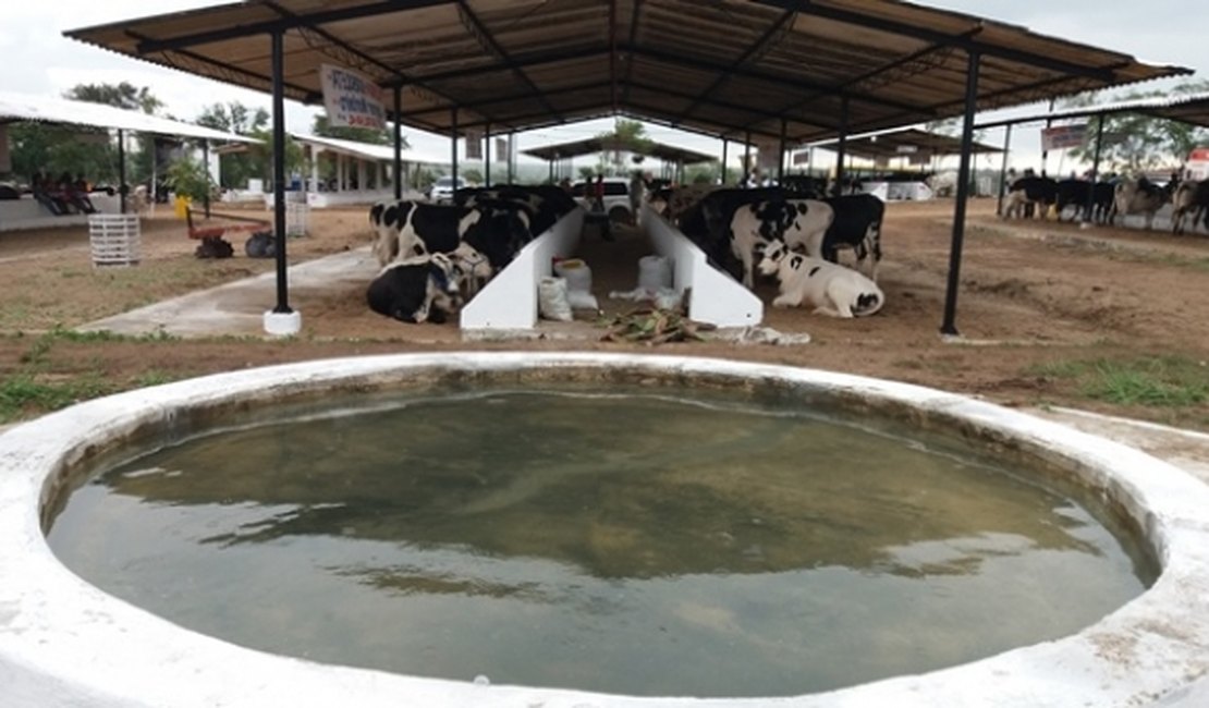 Expo Bacia Leiteira é aberta com desfile de animais, cursos e exposições