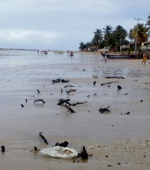 Empresário alerta sobre riscos para veículos em praia do Litoral Sul de Alagoas