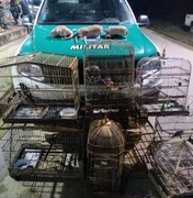 Polícia Militar apreende animais silvestres mantidos em cativeiro no Agreste