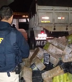 Erro ortográfico faz polícia achar quase 4 t de maconha em SP