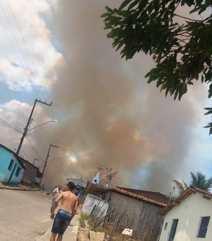 [Vídeo] Incêndio em área de vegetação assusta moradores de Palmeira dos Índios