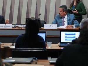 Comissão temporária dos Yanomami adia votação de plano de trabalho