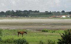Resumida a poucas poças de água, o leito seco do recurso hídrico deixou de ser uma fonte de alimentos e de renda para a população mais carente da região. 
