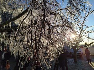 Frio em SC: Sexta-feira tem -8ºC, sincelo, geada, árvores congeladas e chance de neve