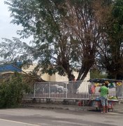 Chuvas atingem árvore do prédio da OAB em Arapiraca