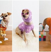 Cachorrinha influencer de moda lança marca de acessórios para humanos