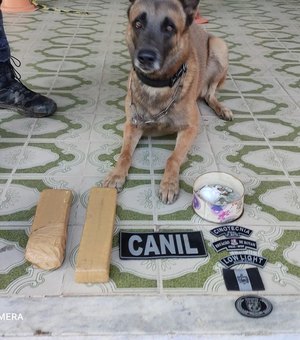 [Vídeo] Com auxílio de cão, polícia apreende drogas durante Operação Integrada em Arapiraca