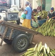 Vigilância Sanitária alerta para os cuidados ao consumir milho e seus derivados