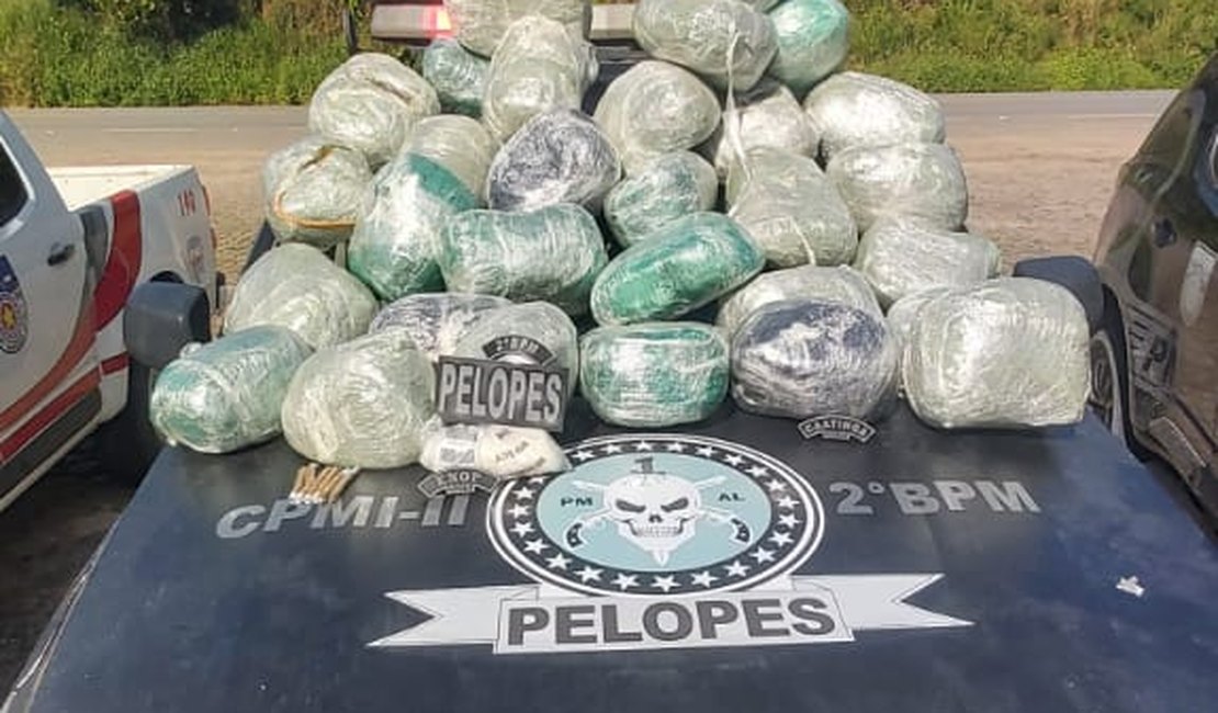 Policiais do 2º Batalhão apreendem drogas que seriam distribuídas em Maceió