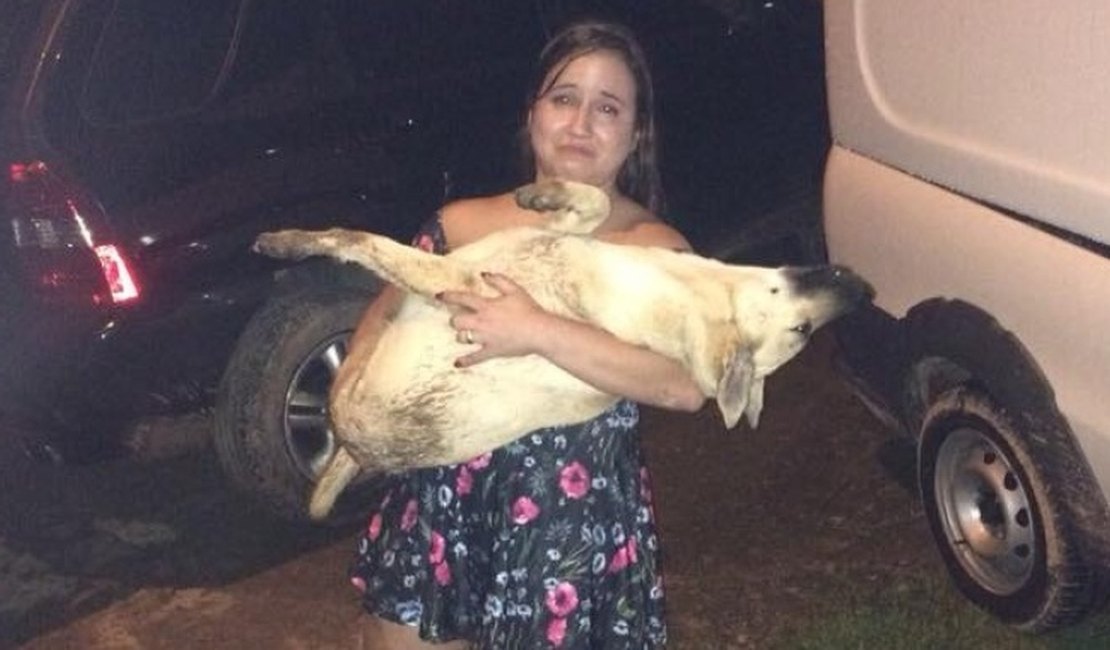 Queima de fogos de artifícios mata cadela: “morreu de susto”