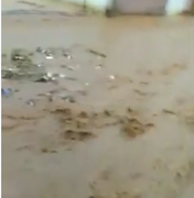 [Vídeo] Chuvas criam rio de lama em bairro de Arapiraca