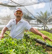 Arapiraca paga primeiro lote de dívidas de agricultores junto ao BNB