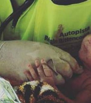 Bebê que nasceu em acidente recebe alta e vai para casa dos avós
