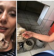 Luisa Mell resgata 1,5 mil animais em canil: 'Campo de concentração'