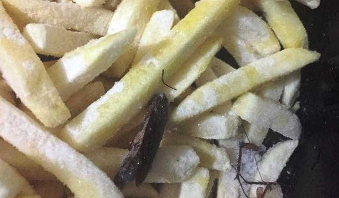 Barata congelada é achada dentro de pacote de batata frita
