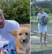 Ana Hickmann resgata cachorro abandonado em estrada: 'Foi deixado para morrer'
