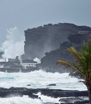 Surfista brasileiro relata pânico vivido por moradores do Havaí pela passagem de furacão: 'Pesadelo'
