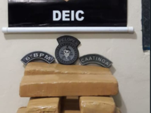 Operação integrada prende mulher transportando carga de drogas em Japaratinga