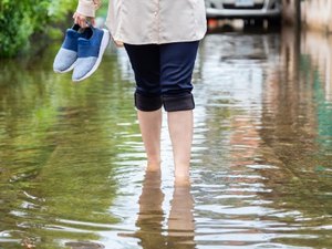 Saúde alerta sobre incidência de casos de leptospirose no período de chuvas em Maceió