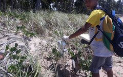 Estudantes fizeram um mutirão de limpeza na Praia de Boqueirão