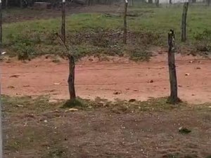 Chuva de granizo é registrada por moradores em povoados do interior de Alagoas