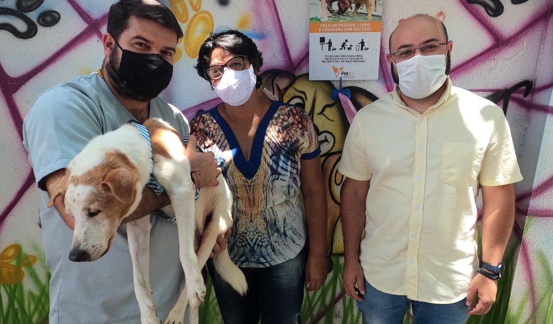 [Vídeo] Cães e gatos de instituições em Arapiraca  são castrados por projeto do Deputado Tarcizo Freire