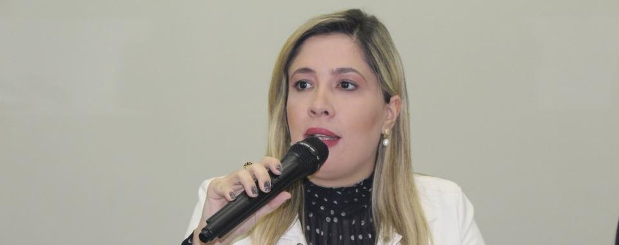 Comissão Bipartite e Gestores municipais discutem estratégias para melhorar acesso dos usuários ao SUS