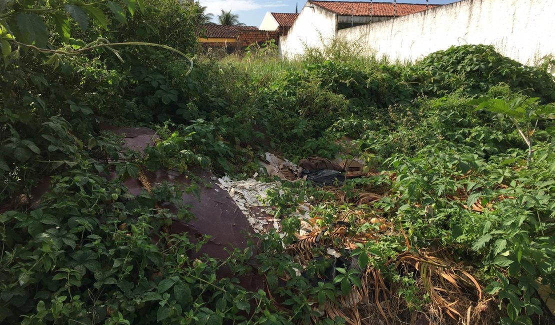 [Vídeo] Moradores apelam para dono de terreno baldio tomar providências em relação ao matagal e lixo em Arapiraca