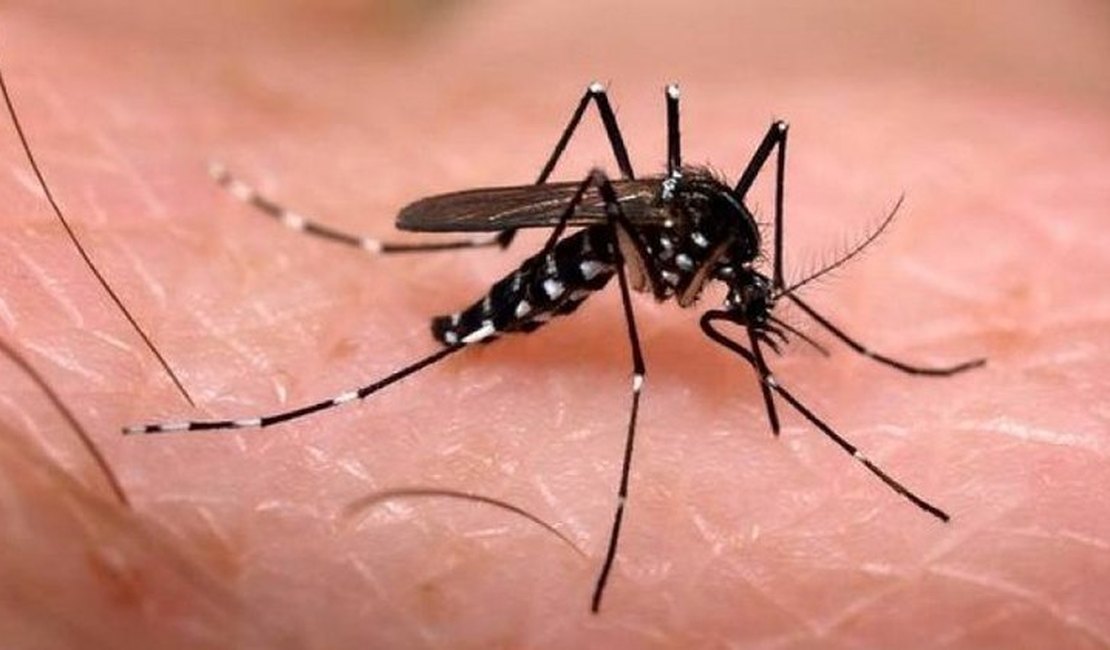 Ação educativa da Vigilância Sanitária alerta sobre dengue, zika e chikungunya