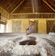 Casas de farinhas serão reabertas em Arapiraca