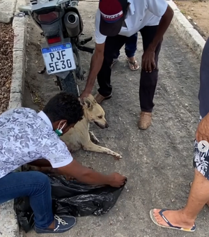 Ministério Público vai pedir prisão preventiva de feirante que esfaqueou cadela em Delmiro Gouveia
