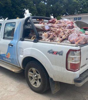 Com suspeita de venda de carne de cavalo, PC desmonta matadouro clandestino em Arapiraca