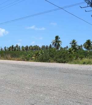 Equatorial informa que queda de árvore causou falta de energia em Maragogi