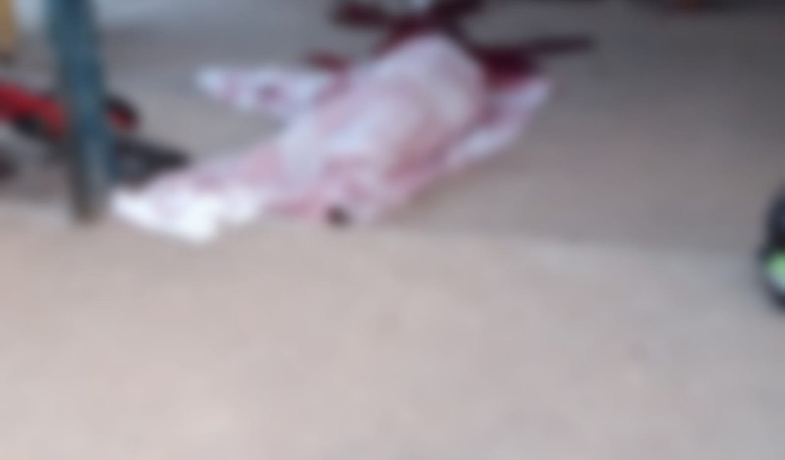 Adolescente é assassinado e colega fica ferido na Feira da Troca