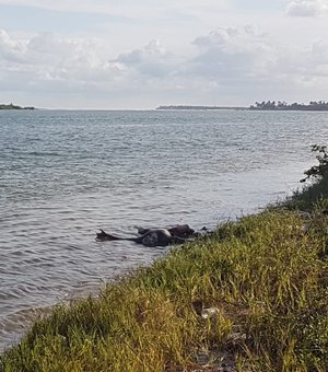 Adolescente desaparece após embarcação virar na Lagoa Mundaú 