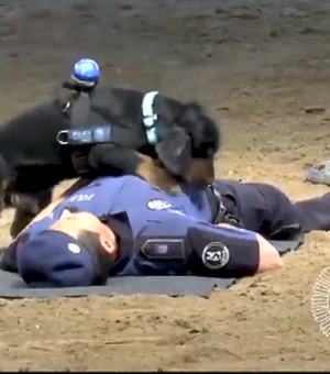 [Vídeo] Cãozinho policial aprende a fazer massagem cardíaca