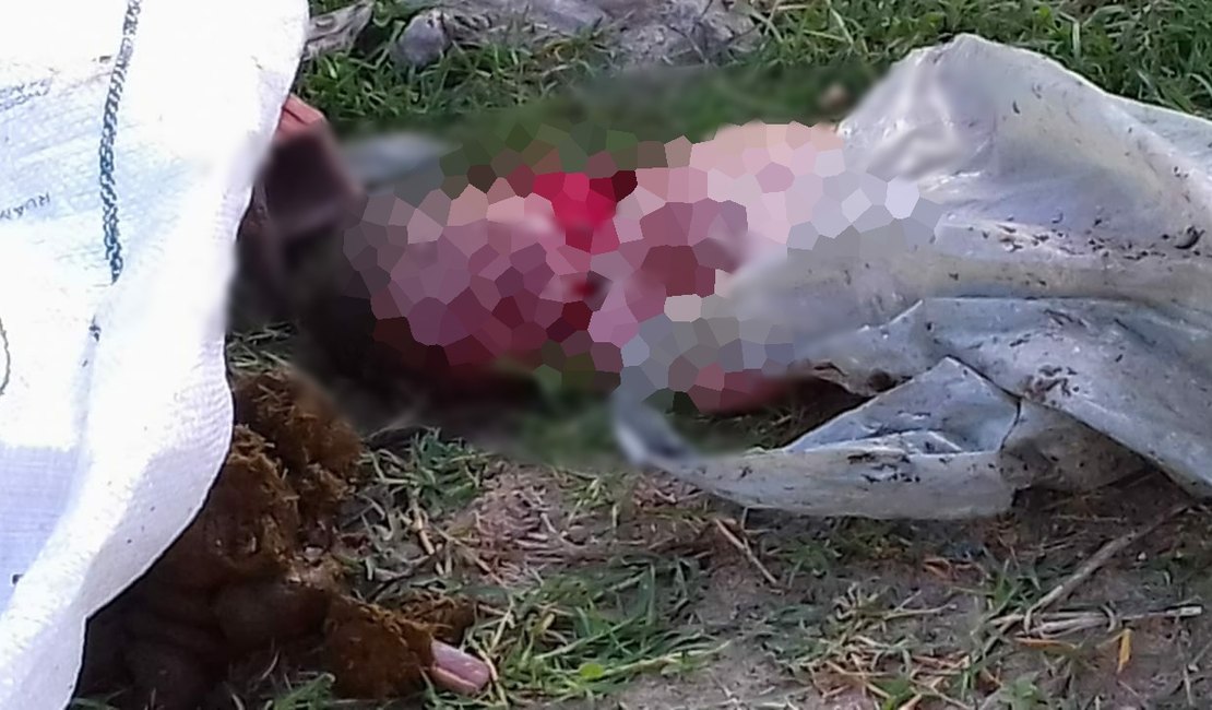 Corpo de bebê é encontrado dentro de sacola no Bairro Parque dos Faróis